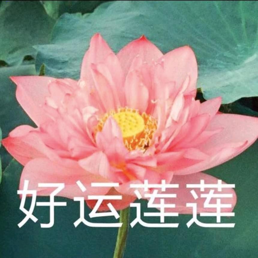 越来越好《拒绝私聊》