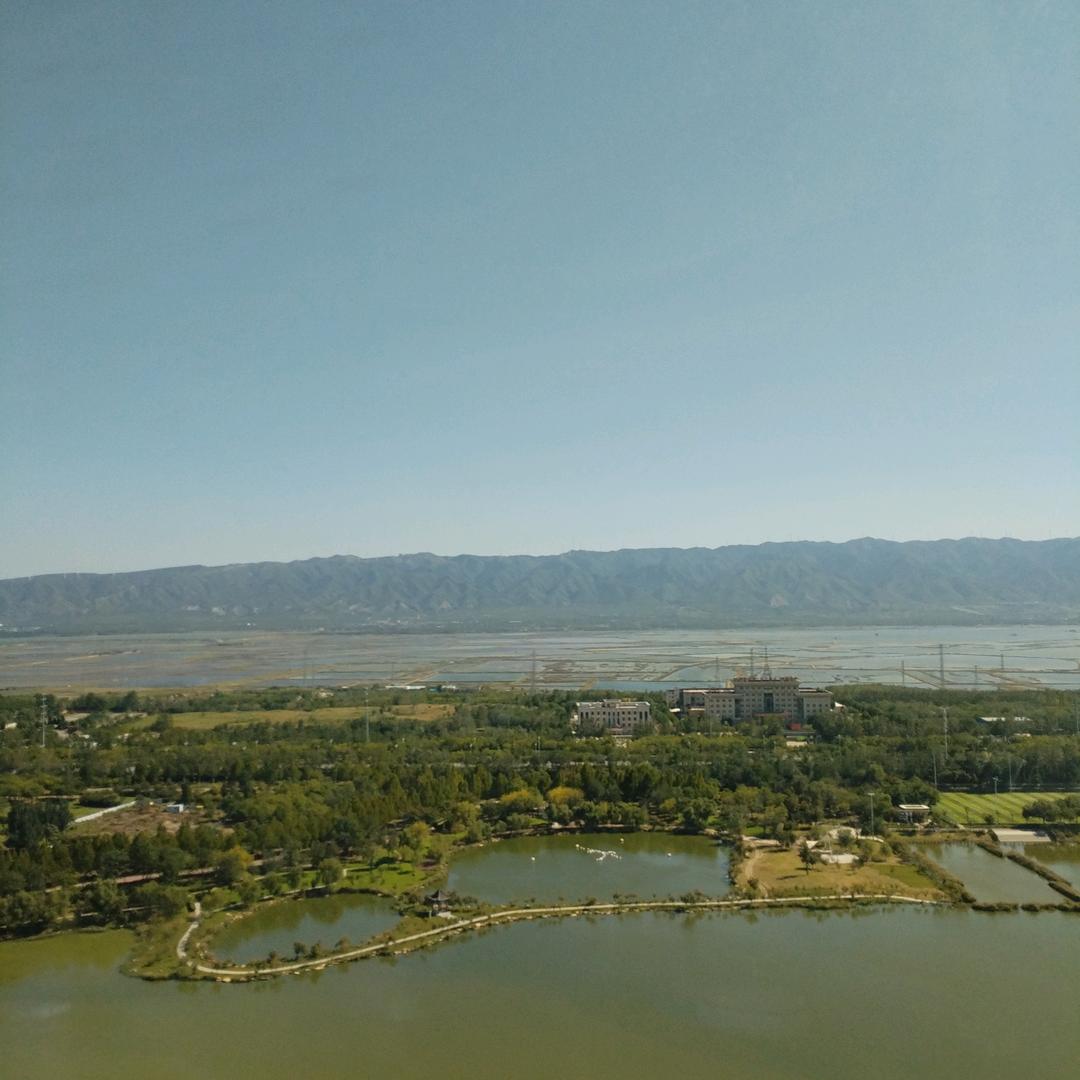 老顽童鞋带上6