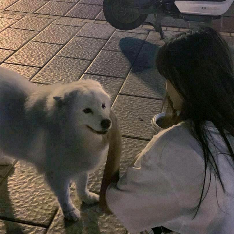 阿笙a⁹⁵⁹