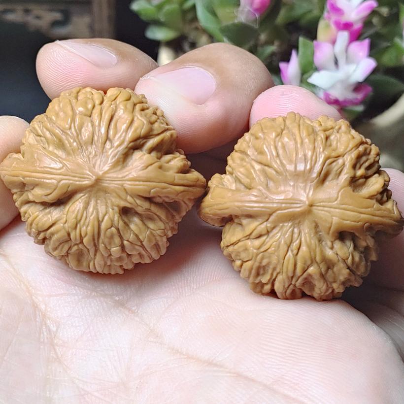 韩少文玩核桃