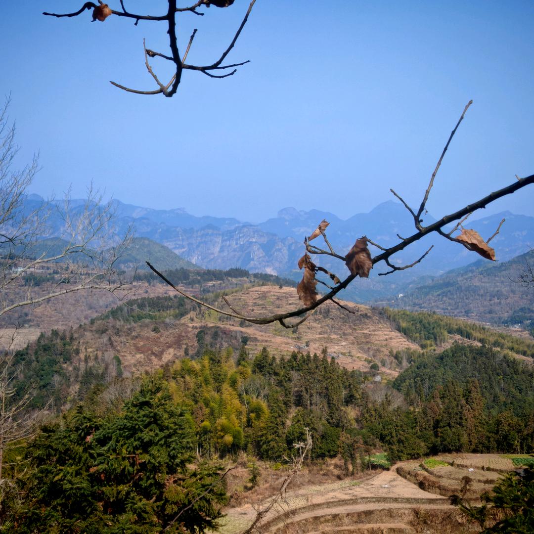 己是渡客亦是舟