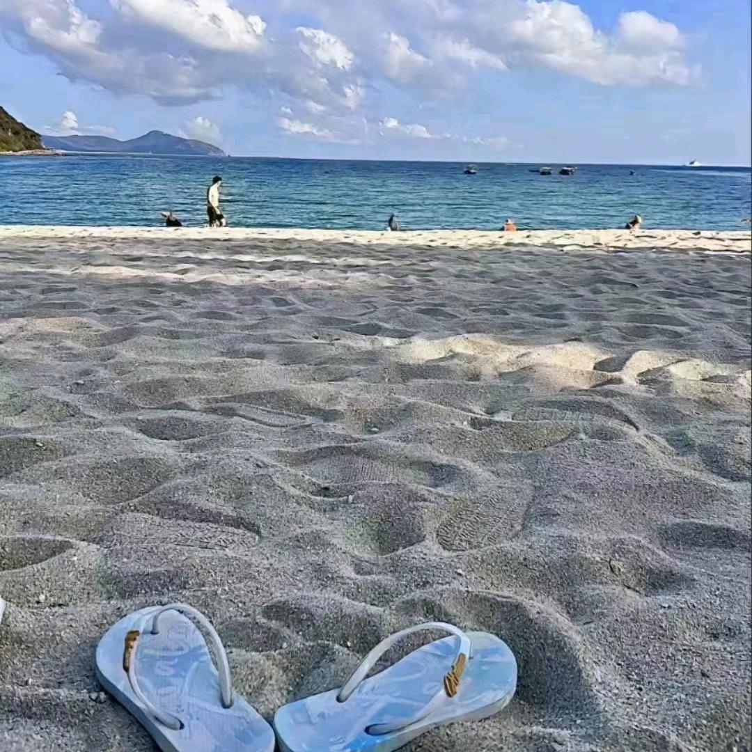 半盏清茶淡红尘