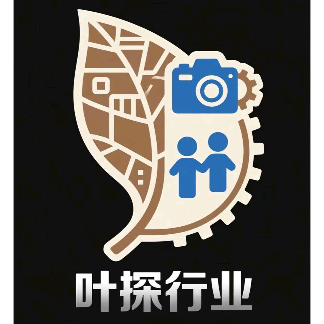 叶探头像