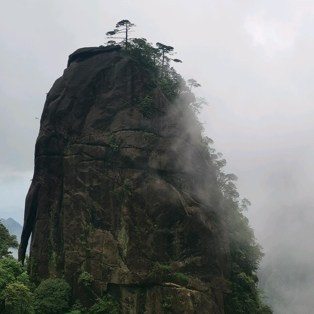 心如静