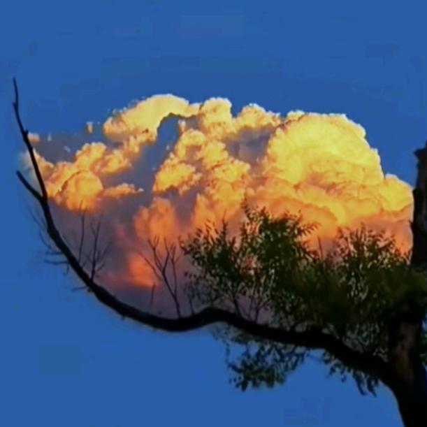 ༺༽༾ཊ💫微笑🌊前行💫ཏ༿༼༻