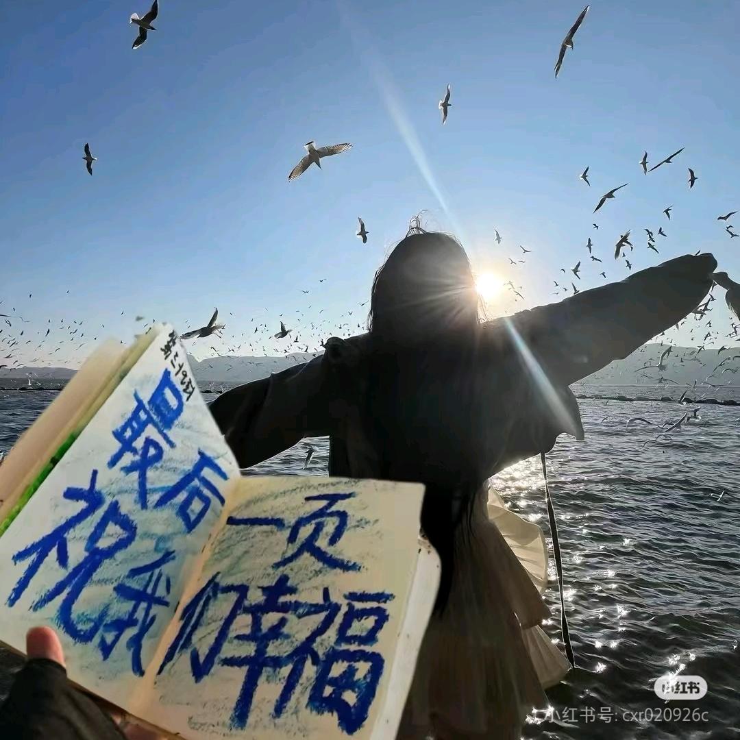 总要释怀