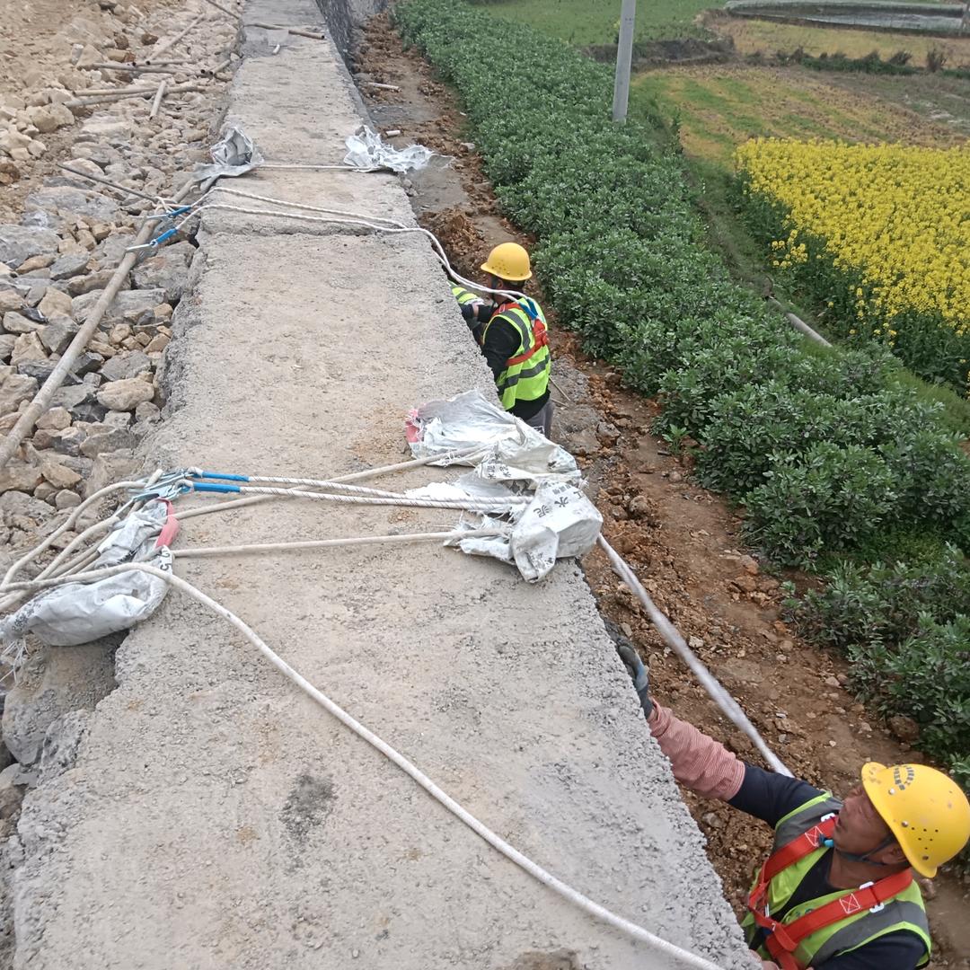 实续文昌喜洋洋