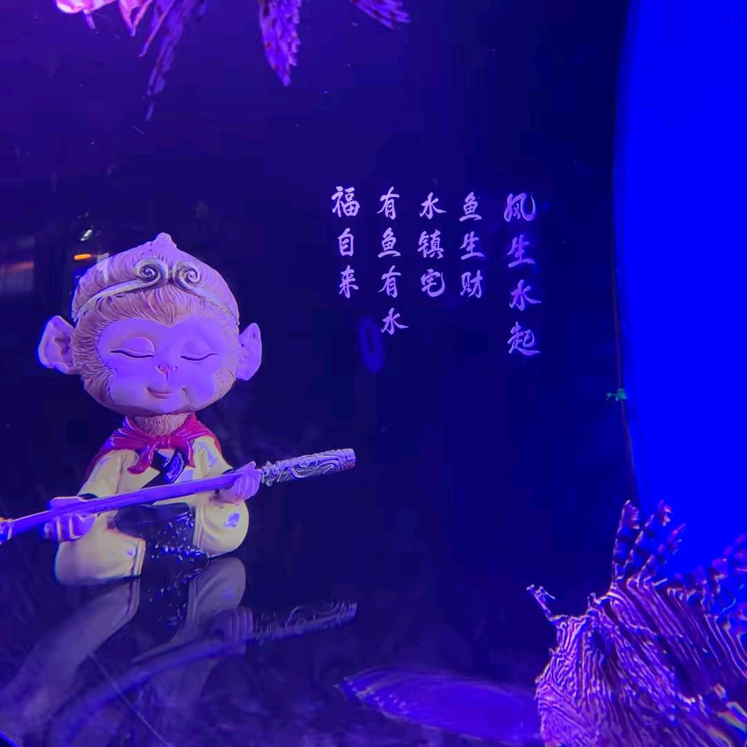 景