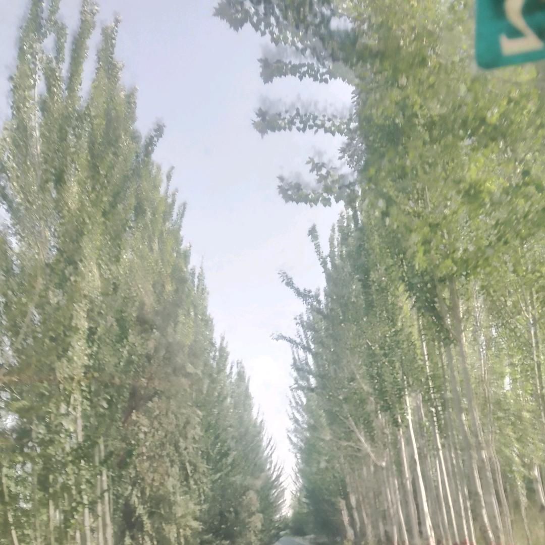 😜哈哈