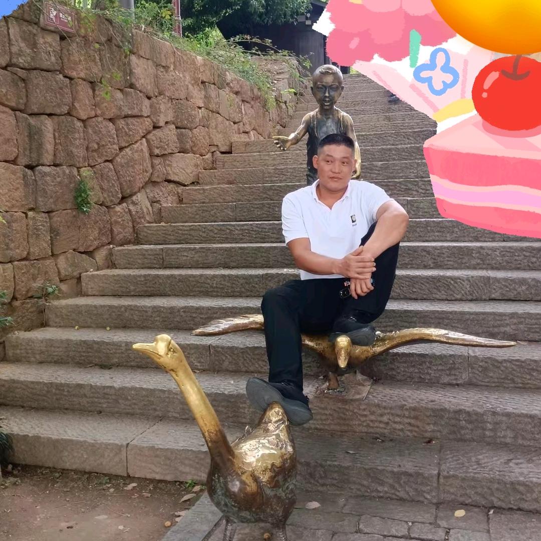 鹏赢天下819