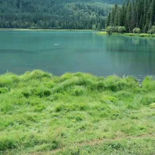 红苹果🍎🍎🍎