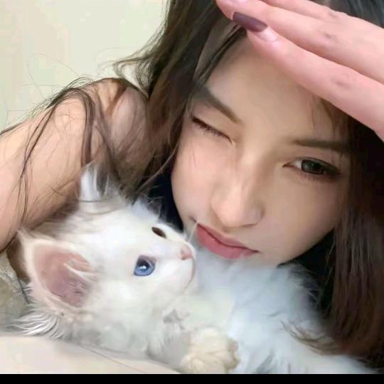 不是椰奶🍼