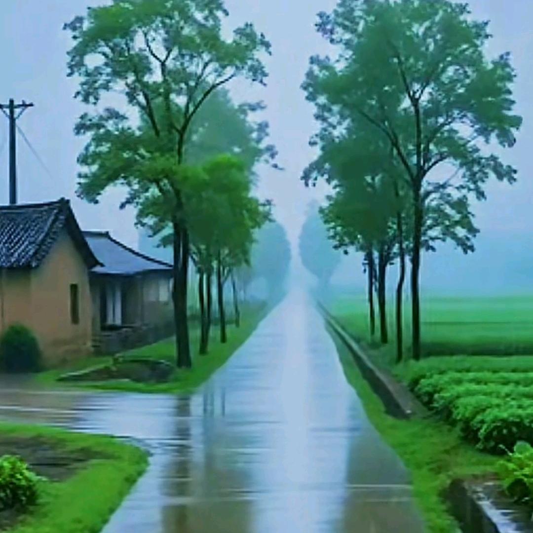 踏歌寻梦
