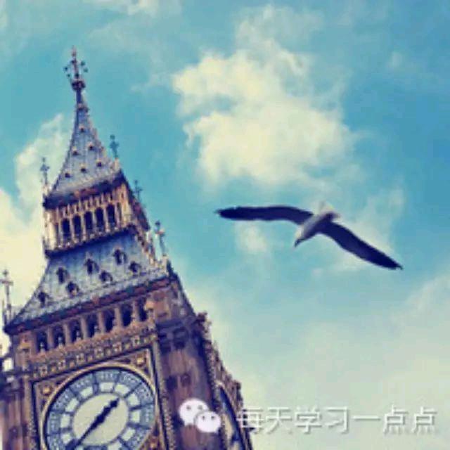 🇨🇳河北强子