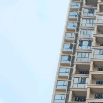 中國🇨🇳🇨🇳🇨🇳《55大元》