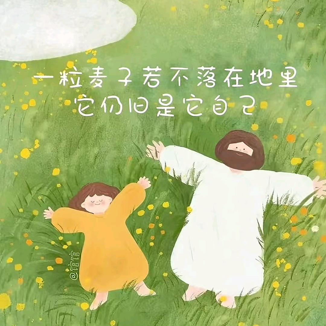 凡事多用点心🌾