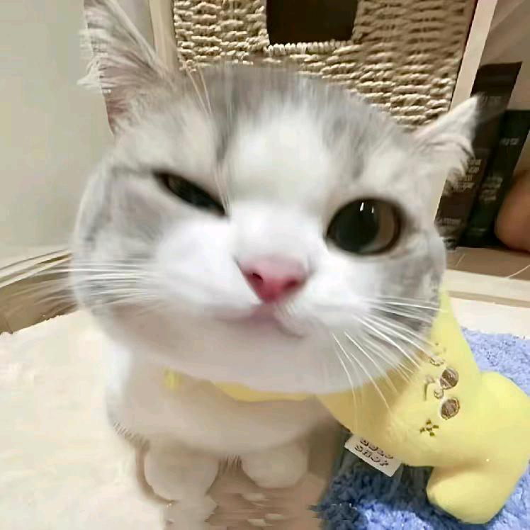 缘分让你我擦肩