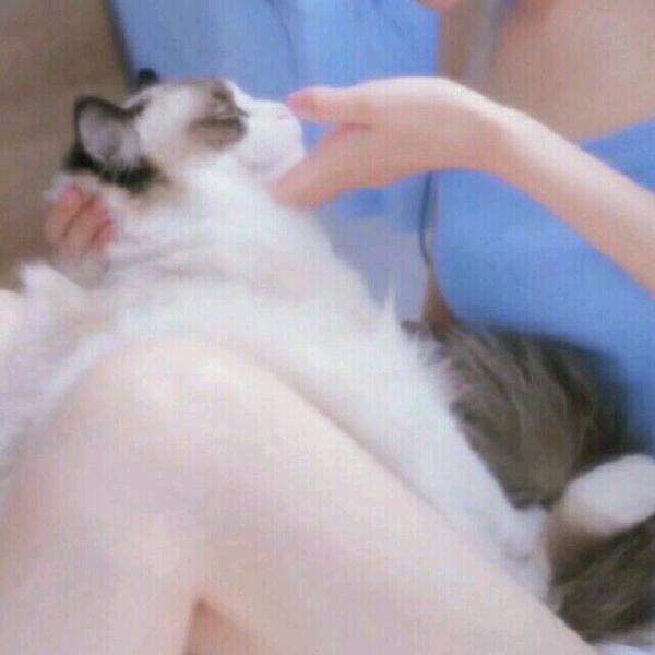 婷婷。