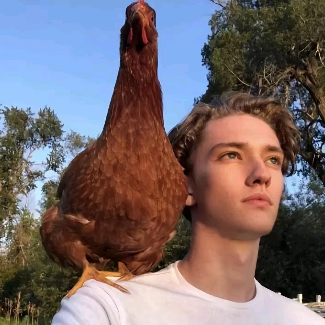 鱼.