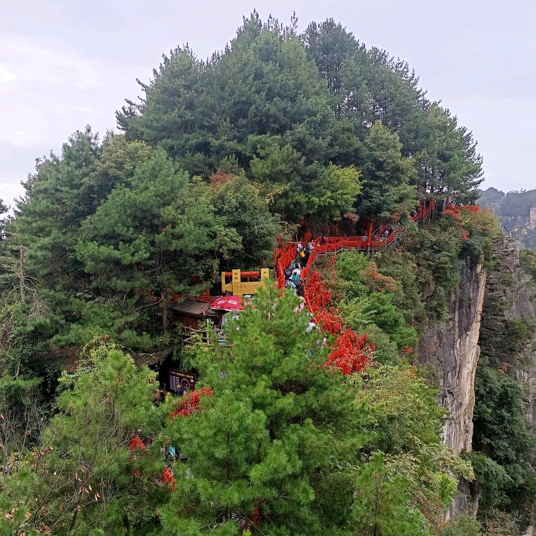 老农优选