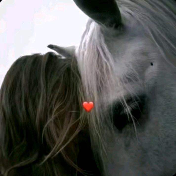 ᝰꫛꫀꪝ❤️‍🔥