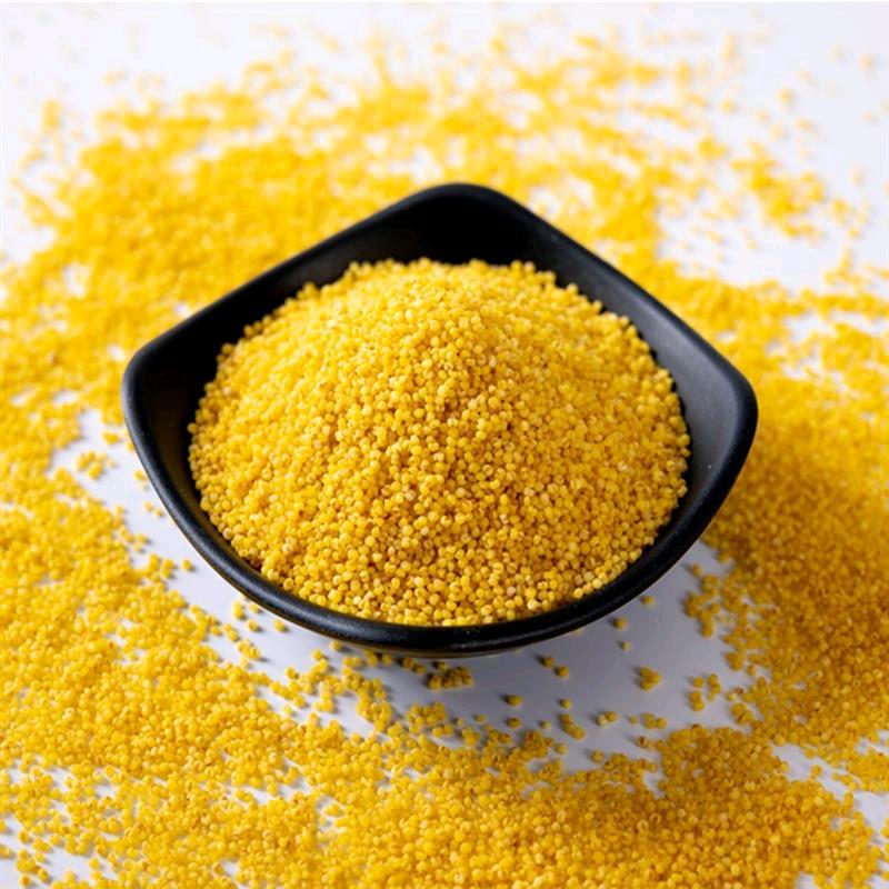 内蒙小米供应链6号店