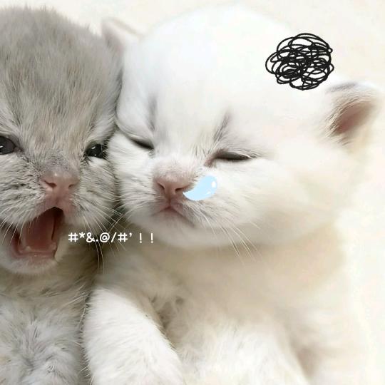 黄老师在想什么