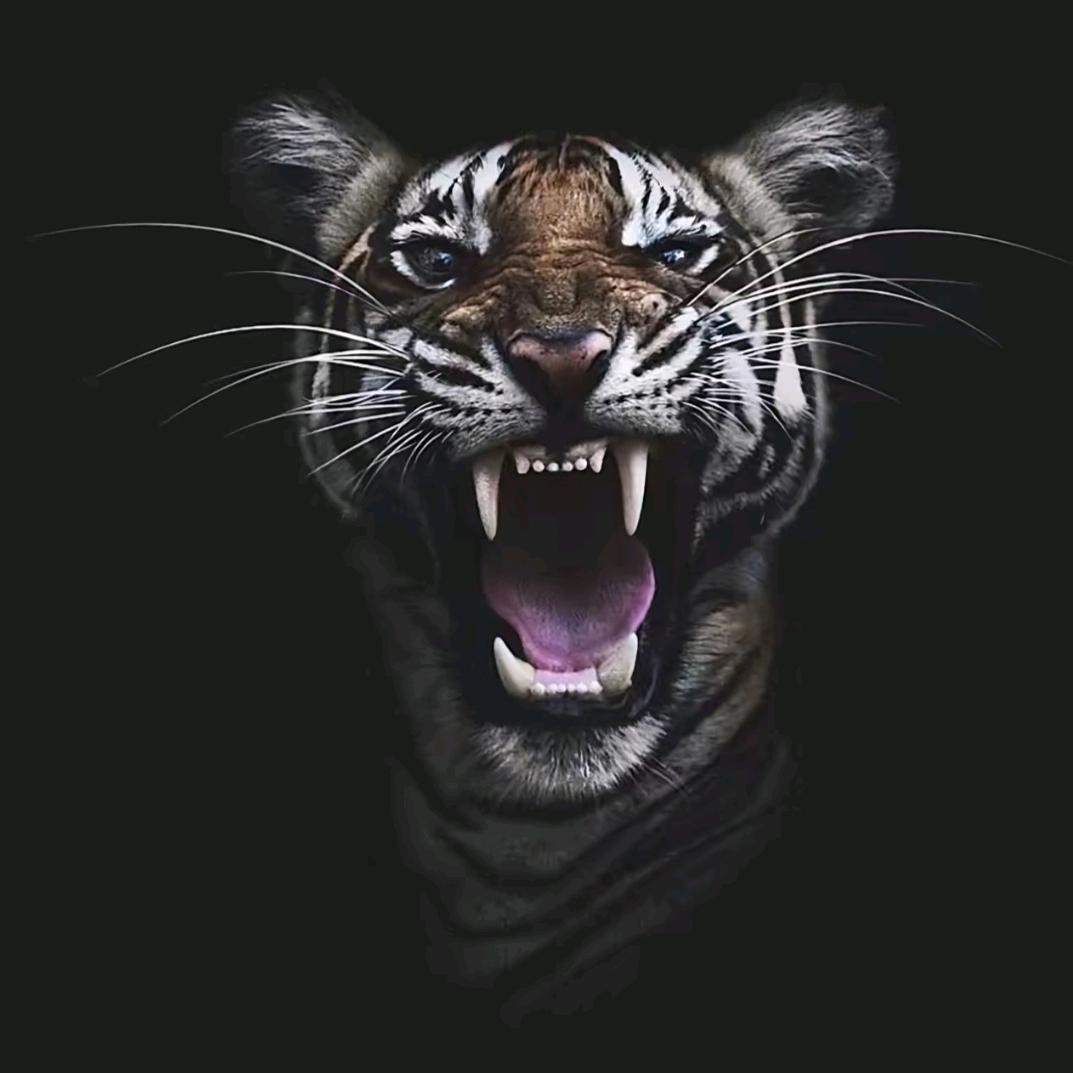 𝐘𝐨𝐮𝐫 𝐍𝐚𝐦𝐞🏀