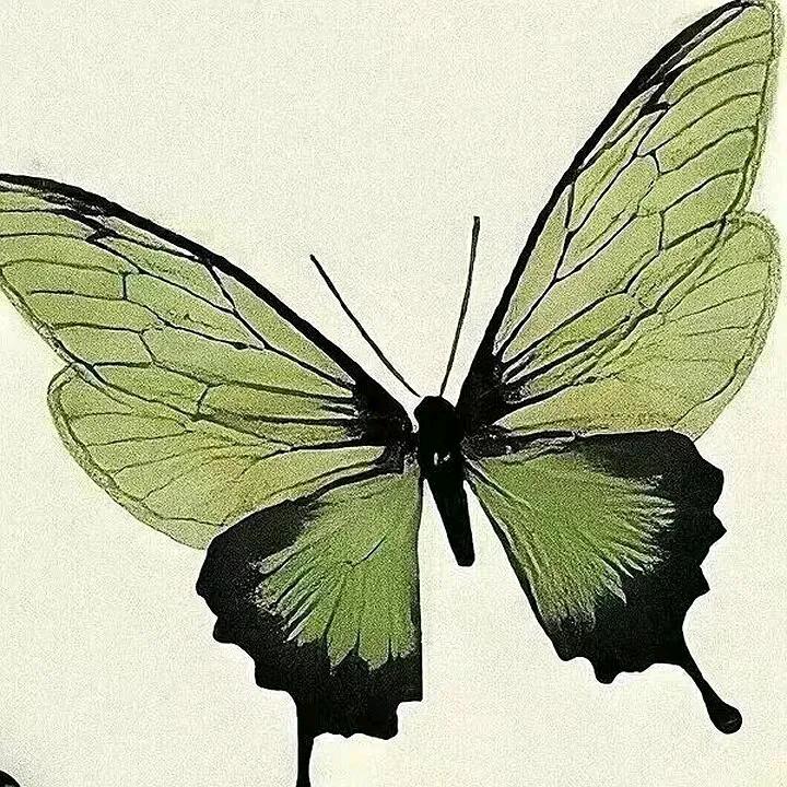 晴吔