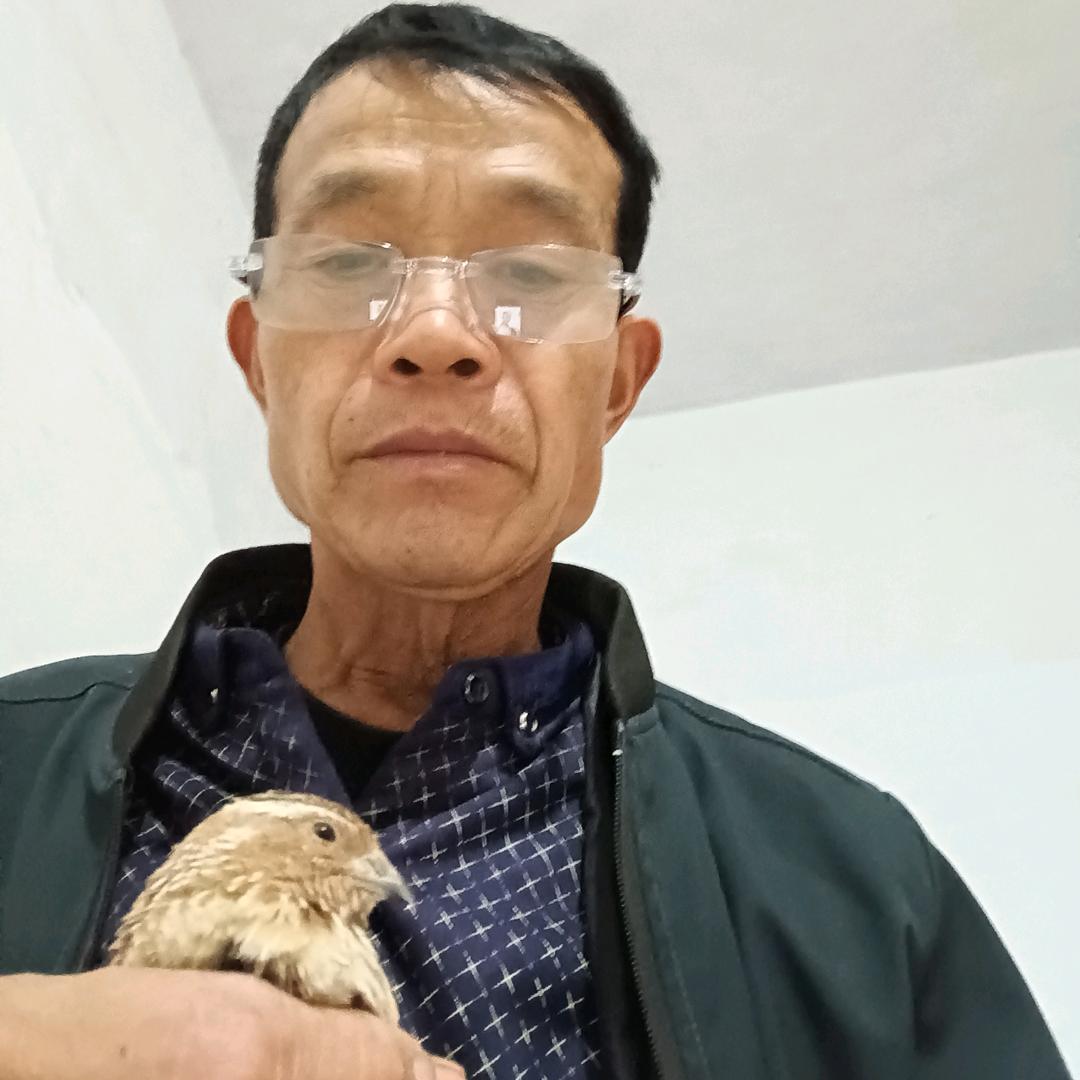 一泽爷爷