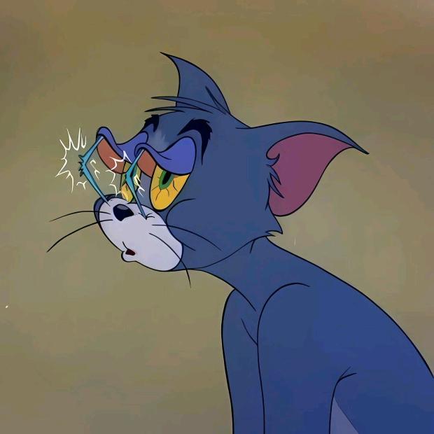 真的假老练