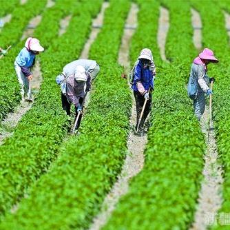 众穗满仓企业店