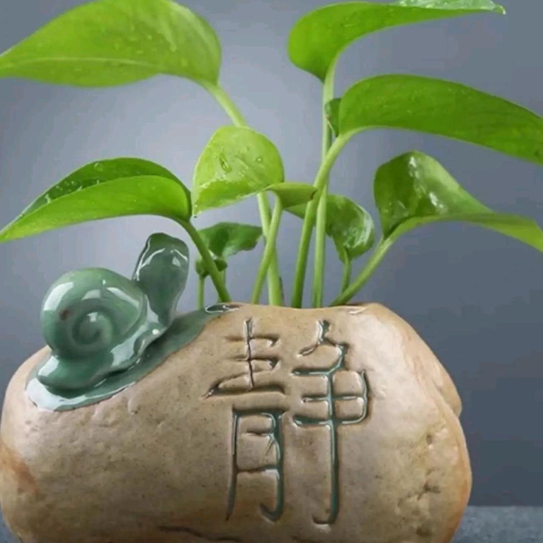 余生安好