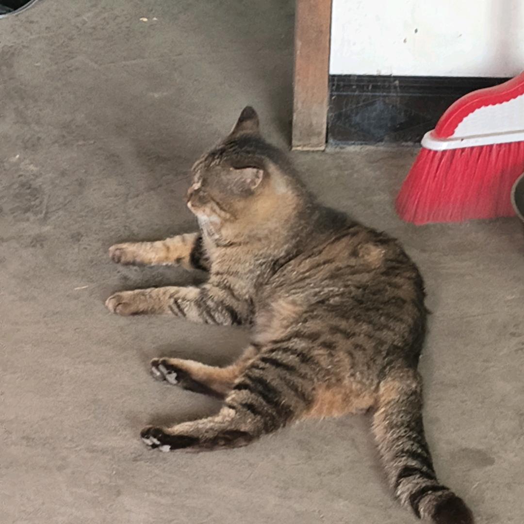 瓦前辈