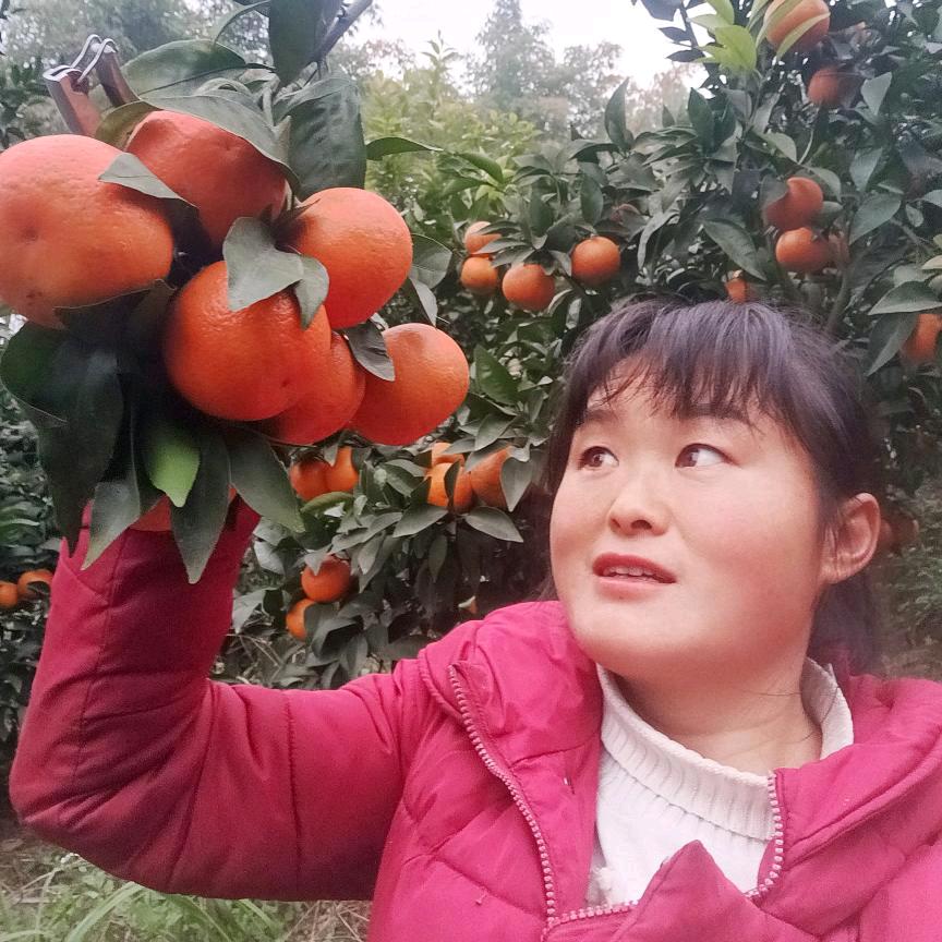 张小双