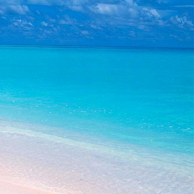 圆圆滚滚💤🎏