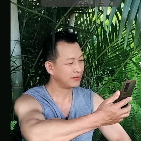 动物世界里的金钢