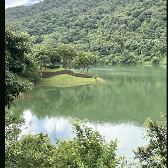 幽雨静风