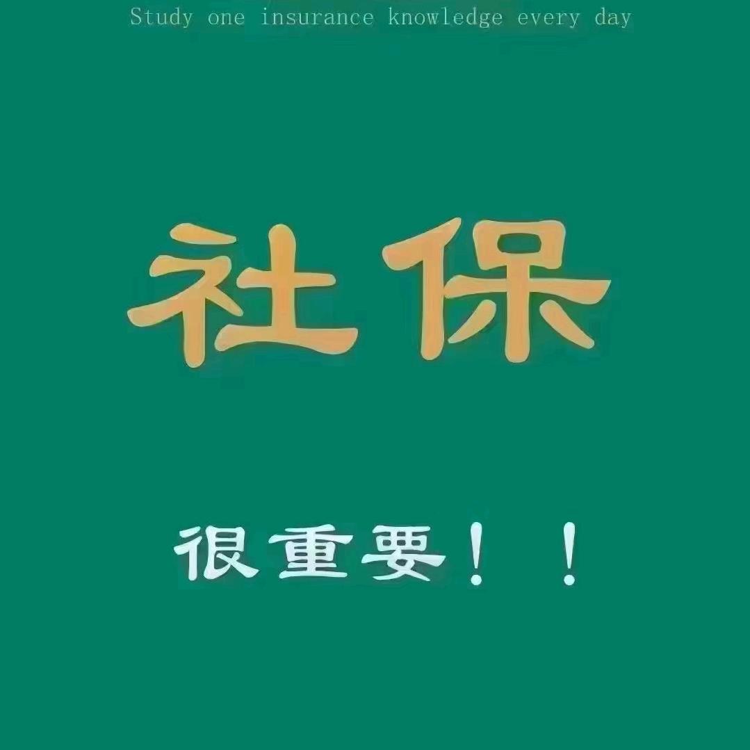 社保分享张老师