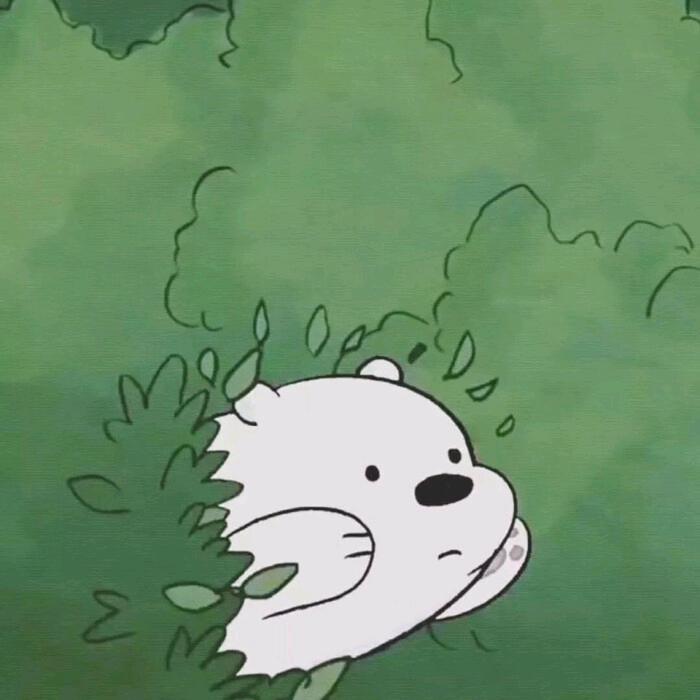 小豆包🍀