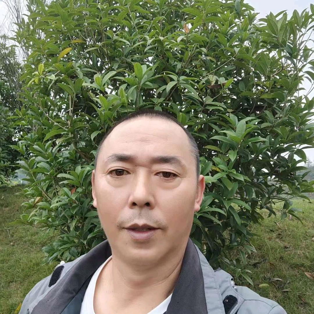 乐山四老表