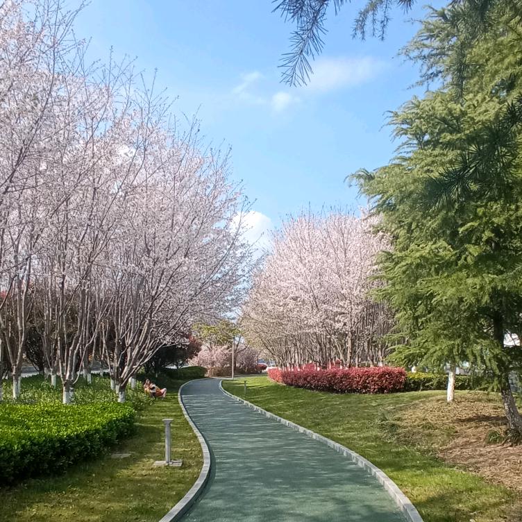 希奥