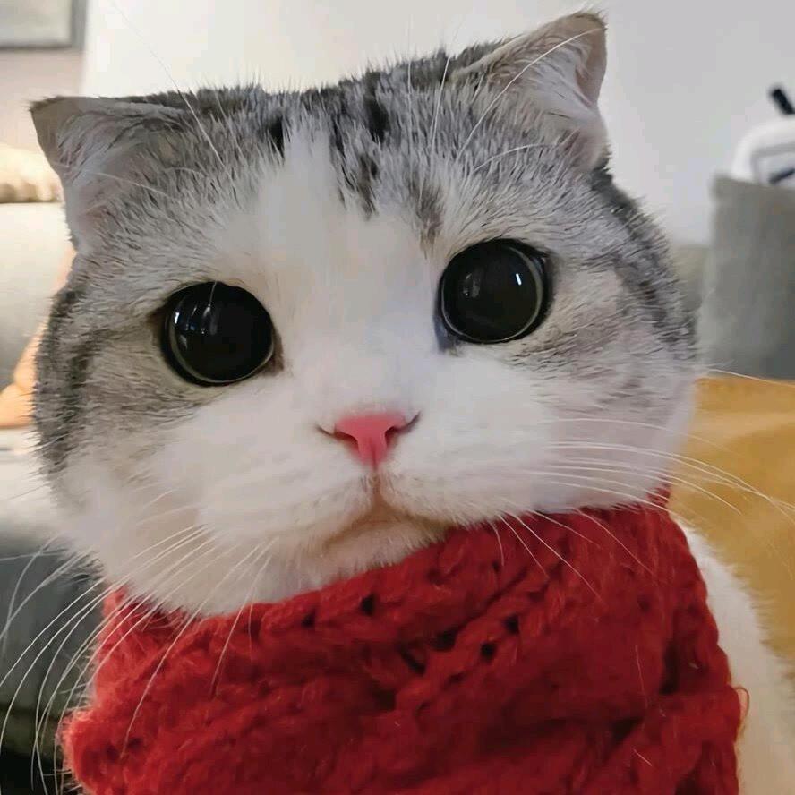 还是有点遗憾吧