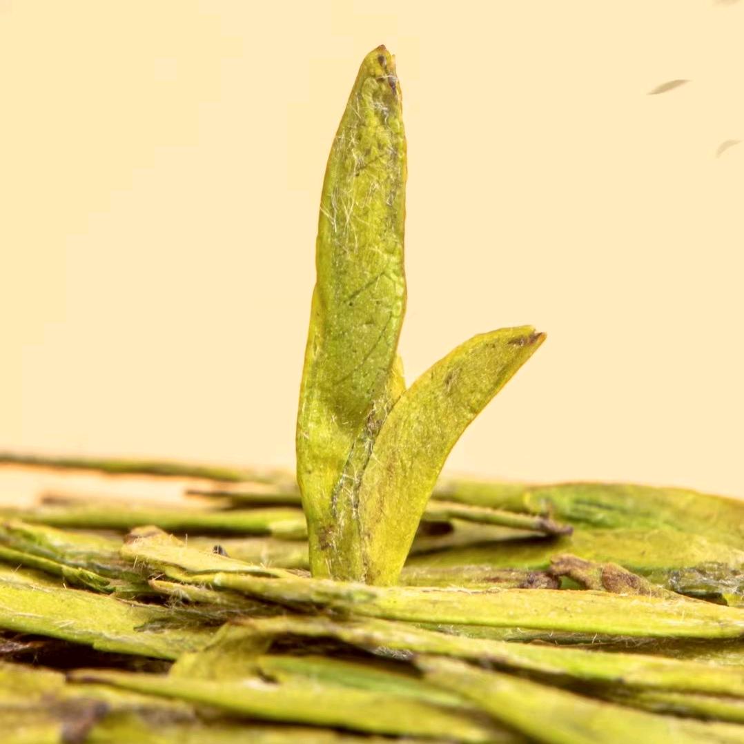 聚和祥茶庄