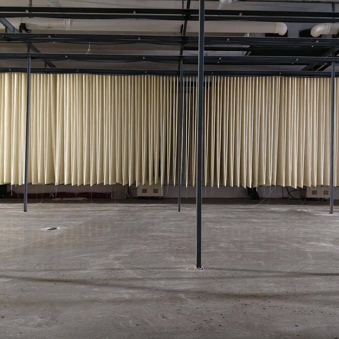 刘伟涛（宫面）