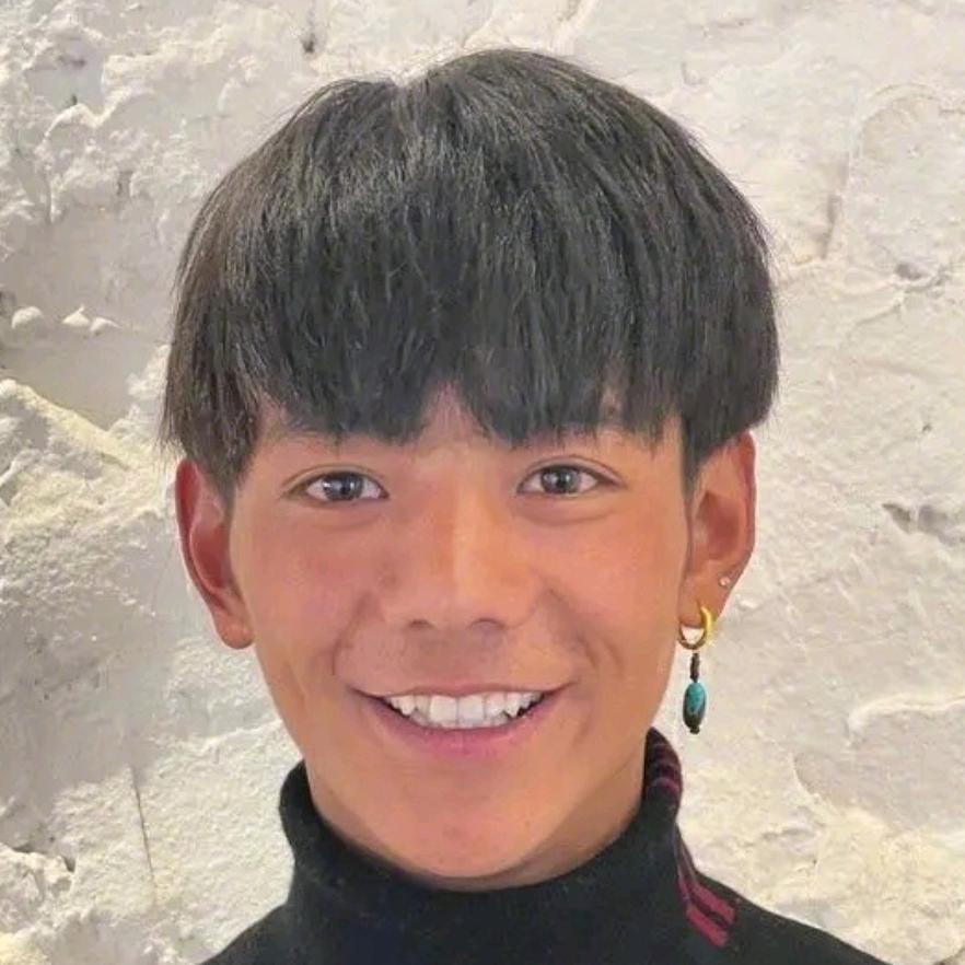 叮真