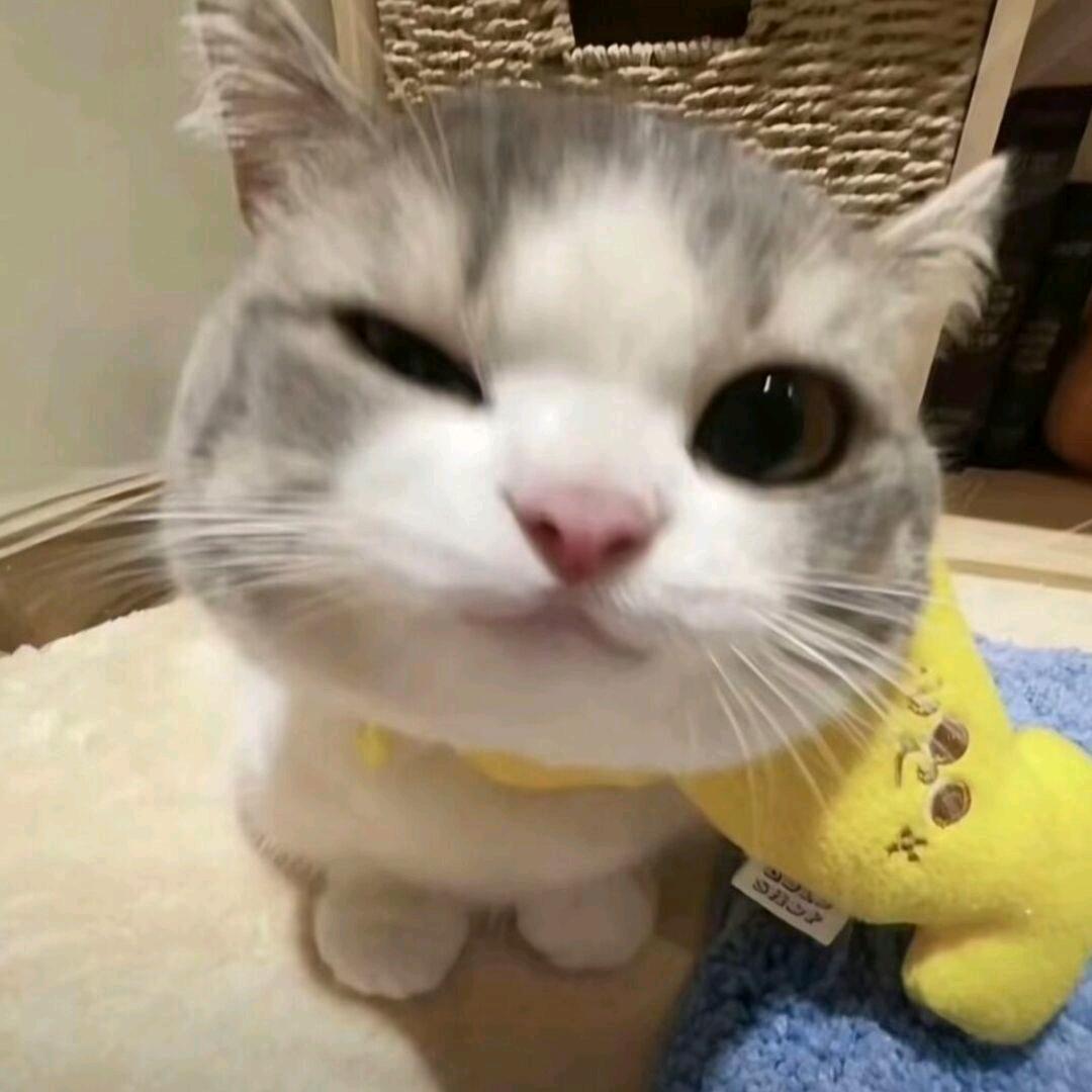 ，，，