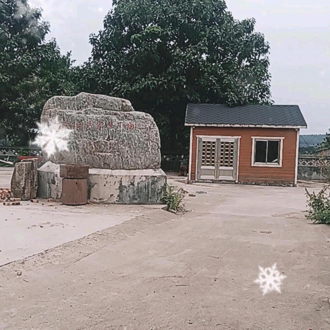 老王哥