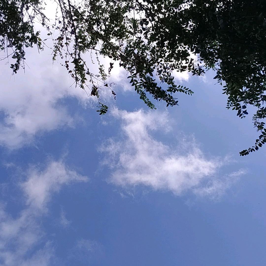 财神面前刮彩票