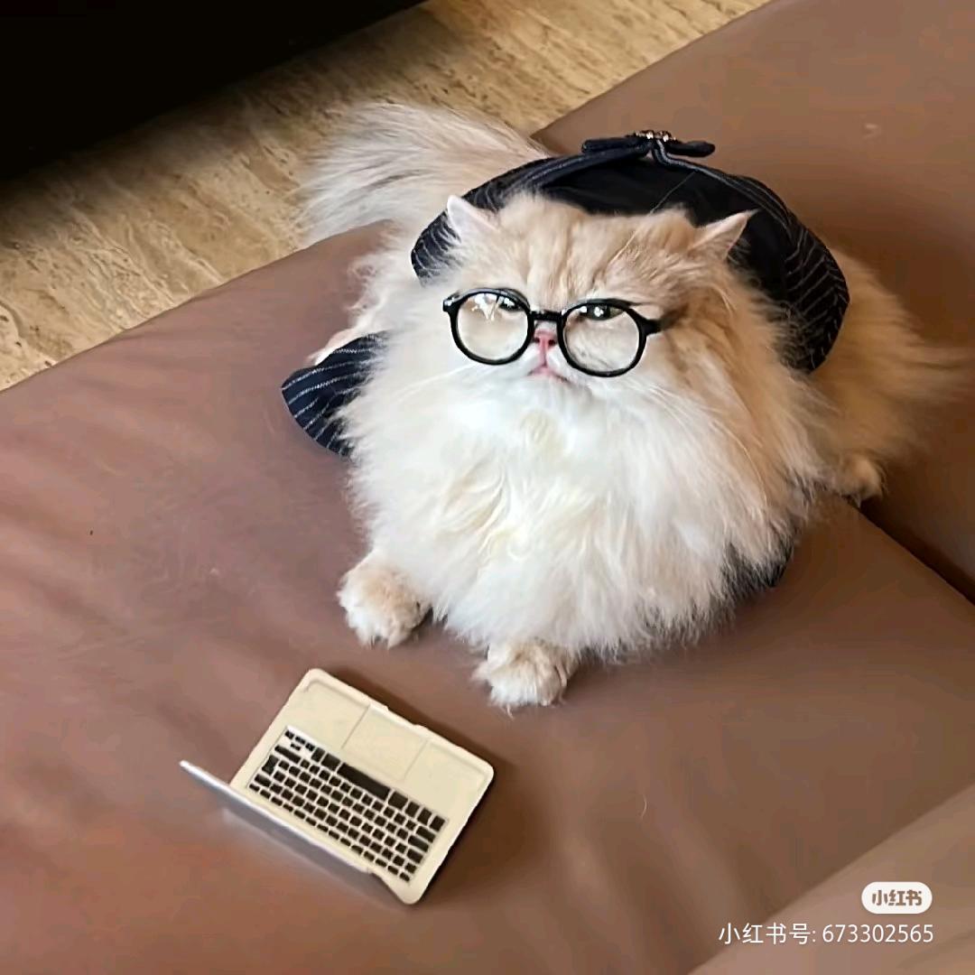 睡觉吃鸡腿🐣
